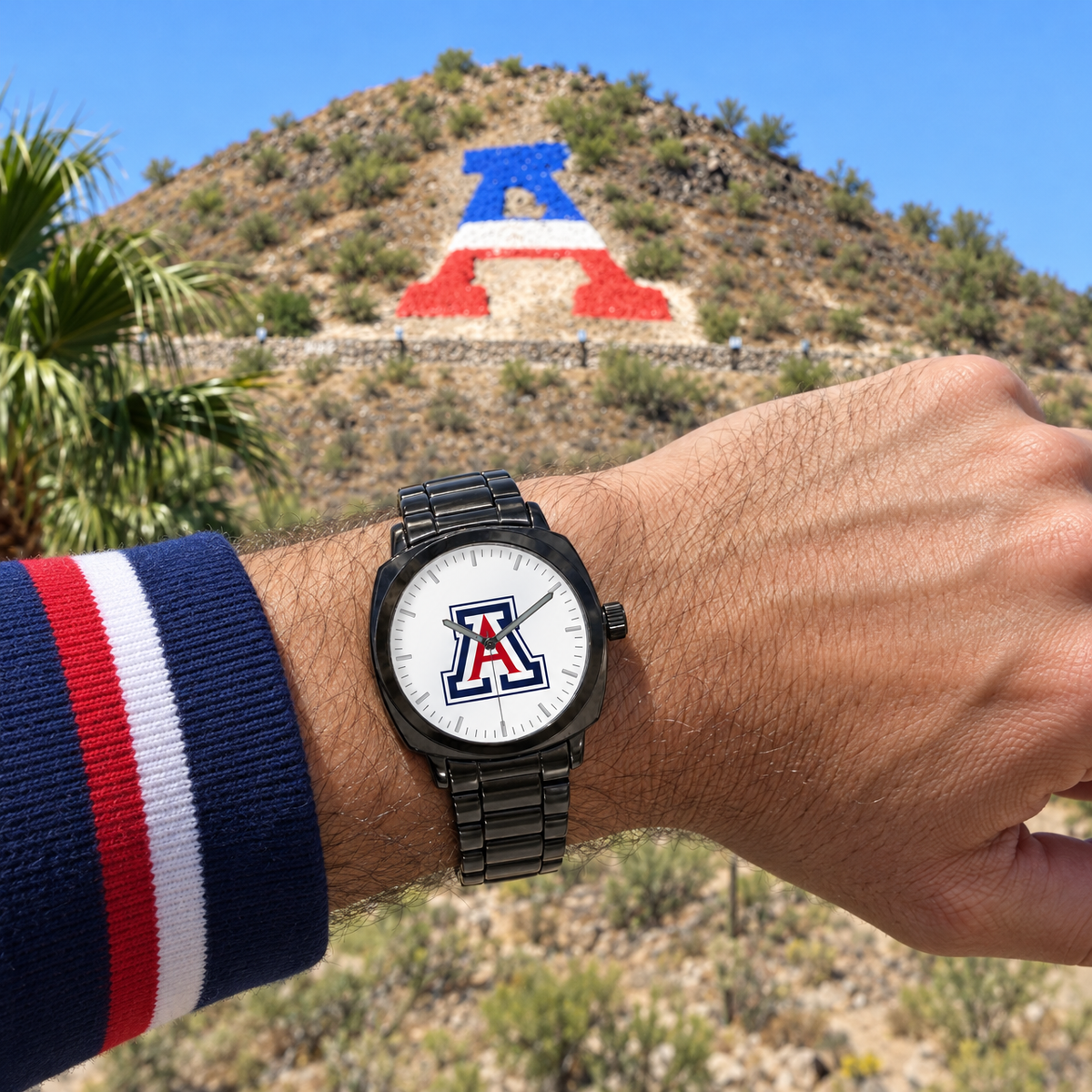 Students who never did small - Arizona Wildcats watch