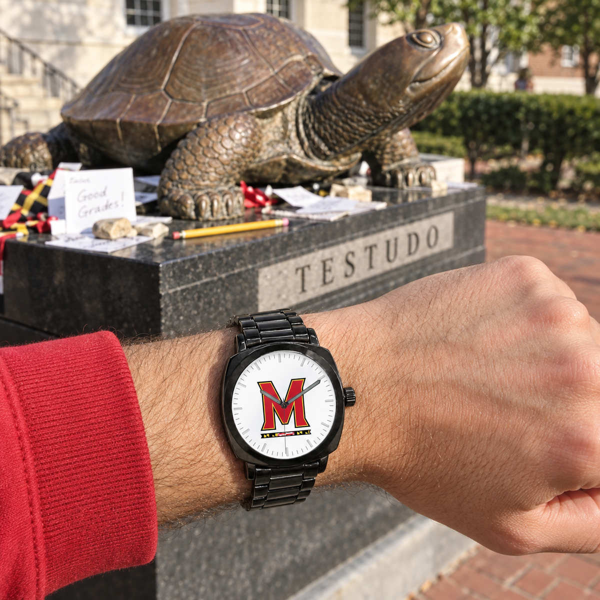 Hope is a fine study plan - Maryland Terrapins watch