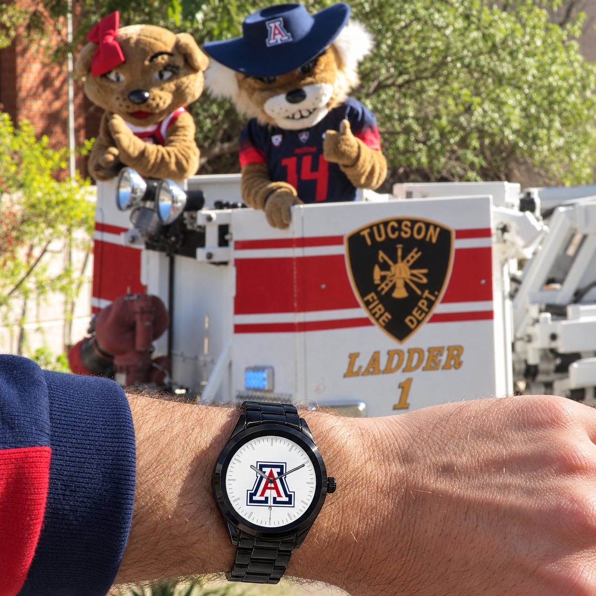 Wilbur's secret identity - Arizona Wildcats watch
