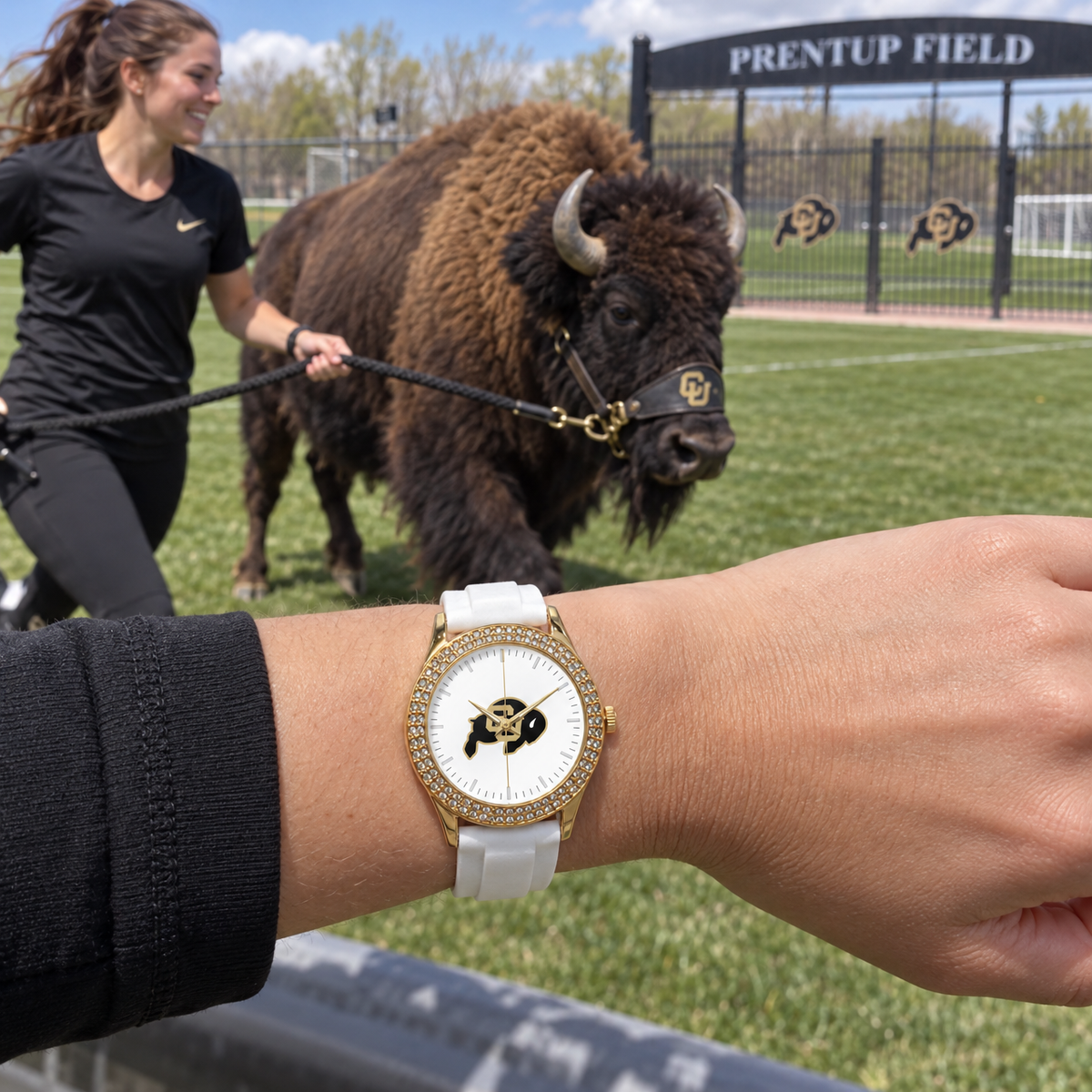 Where Ralphie rehearses - Colorado Buffaloes watch