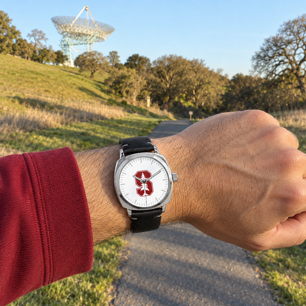The Dish: look, don't enter - Stanford Cardinal watch