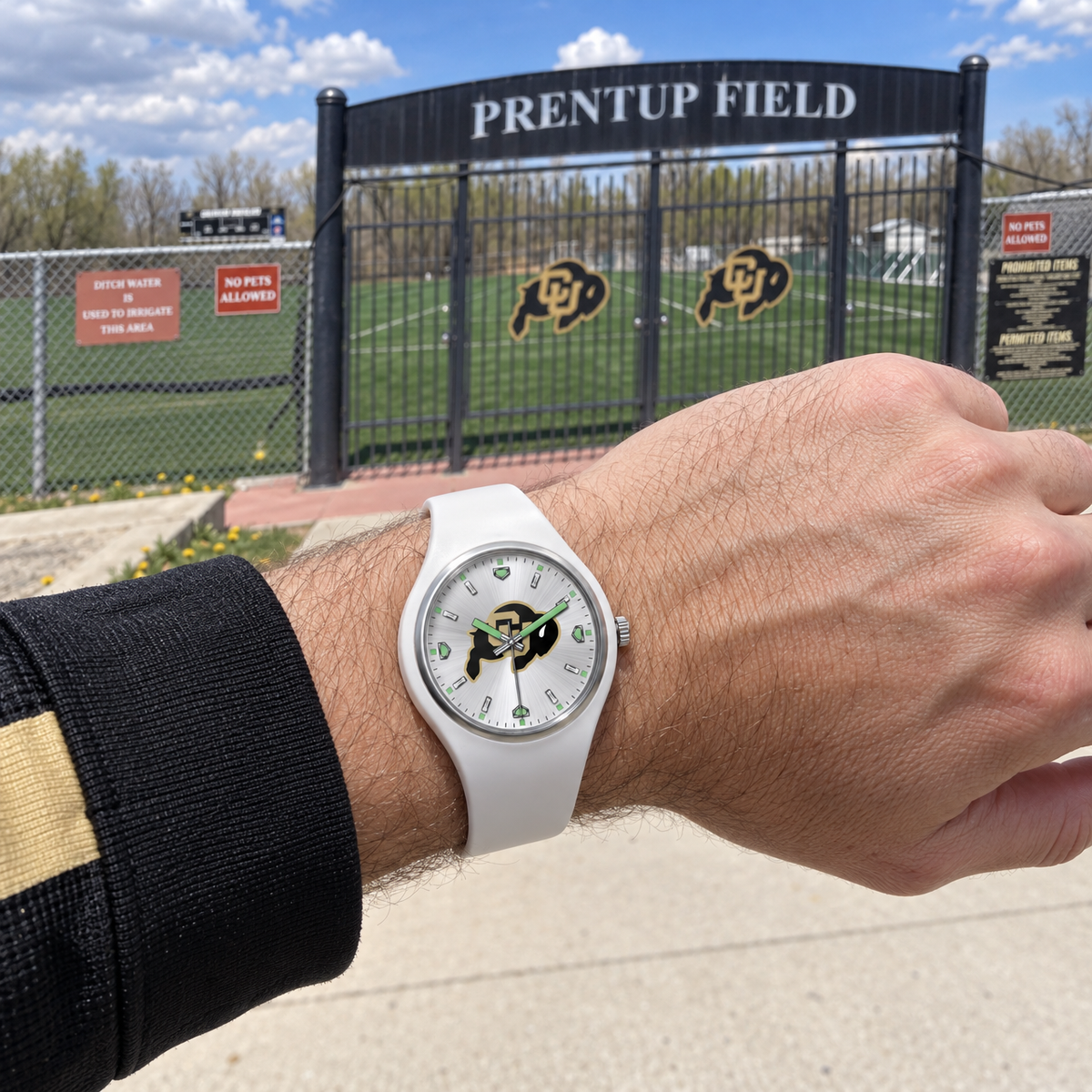 Small stadium, loud nights - Colorado Buffaloes watch