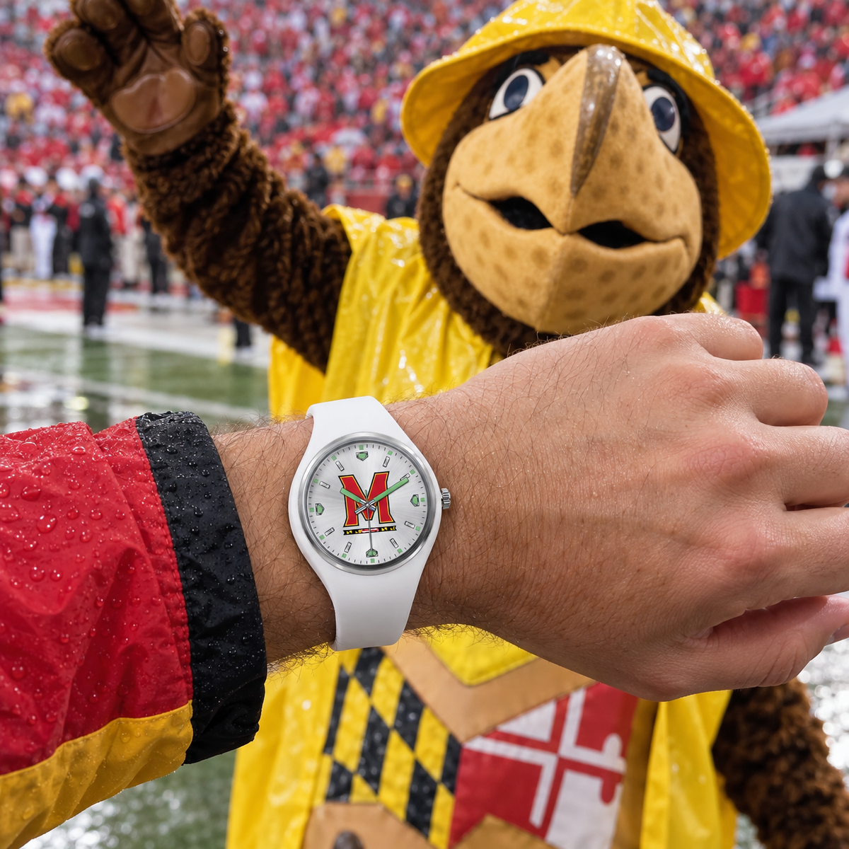 Testudo dresses for any forecast - Maryland Terrapins watch