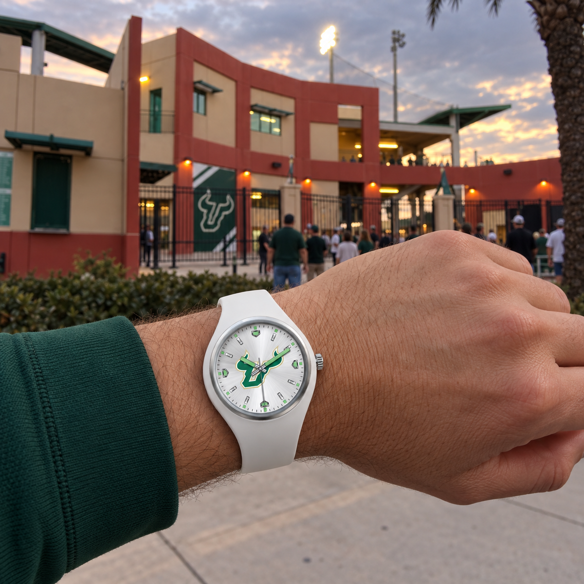 New park, same ground - South Florida Bulls watch