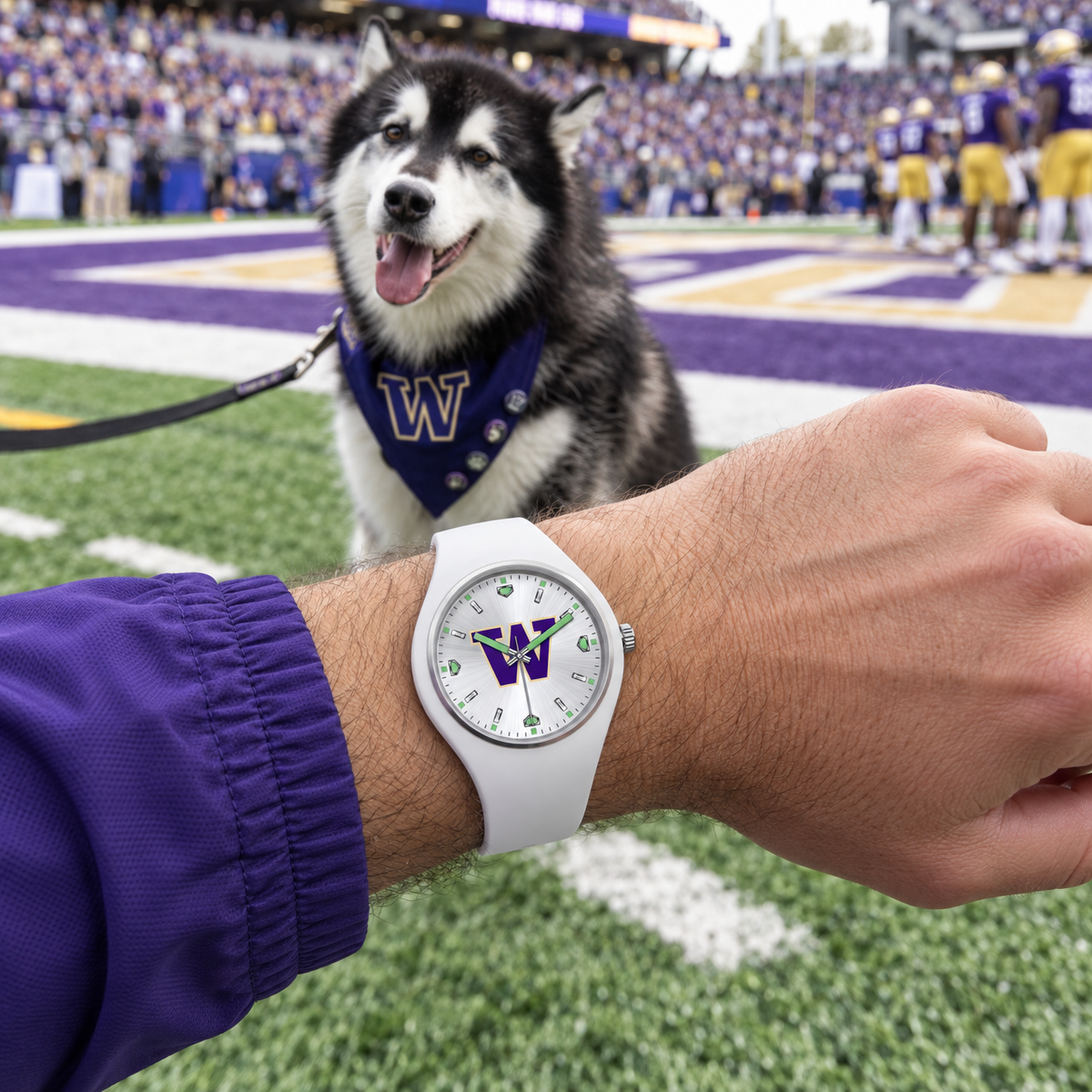 Dubs II leads the way - Washington Huskies watch