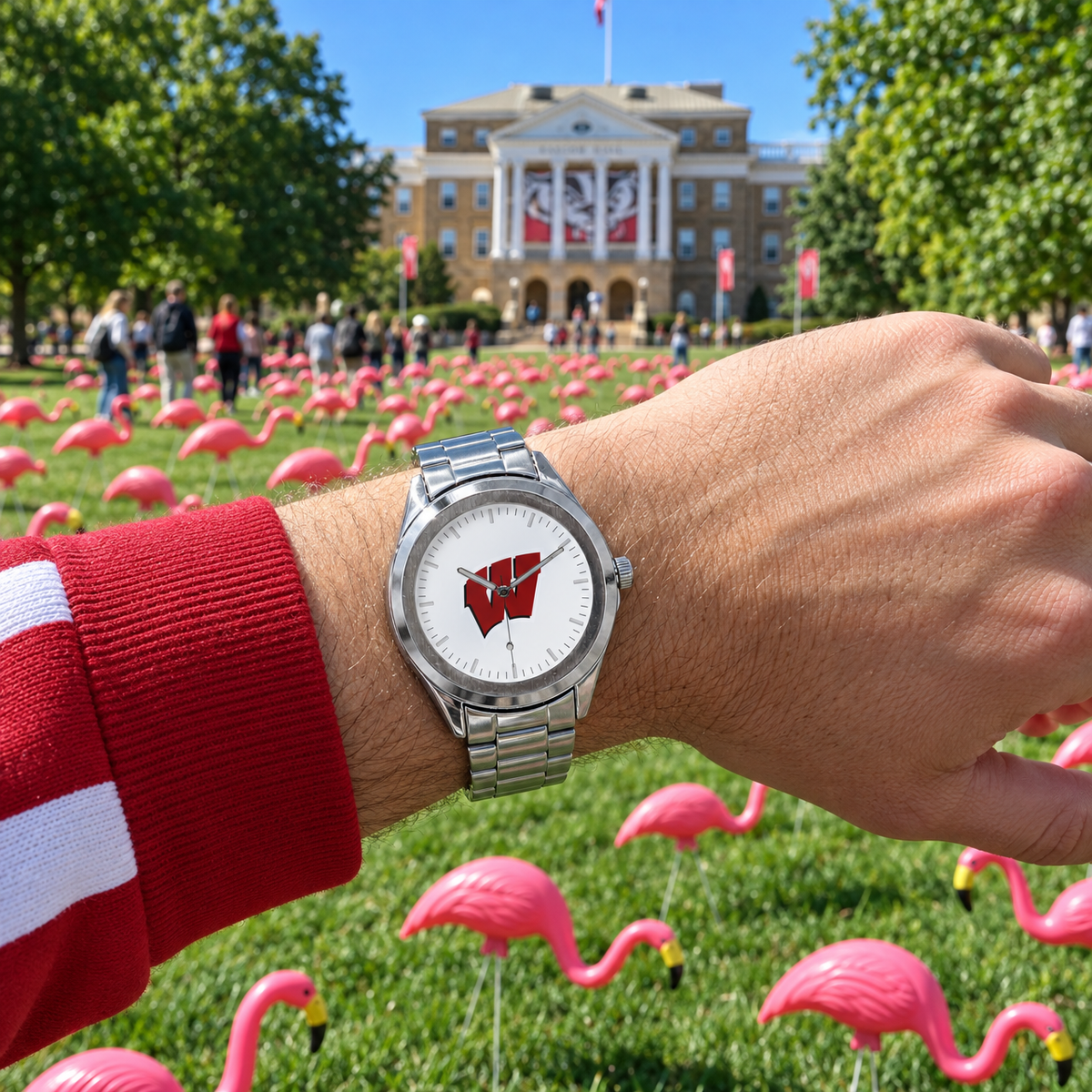 Pink Flamingos, Serious Fundraising - Wisconsin Badgers watch