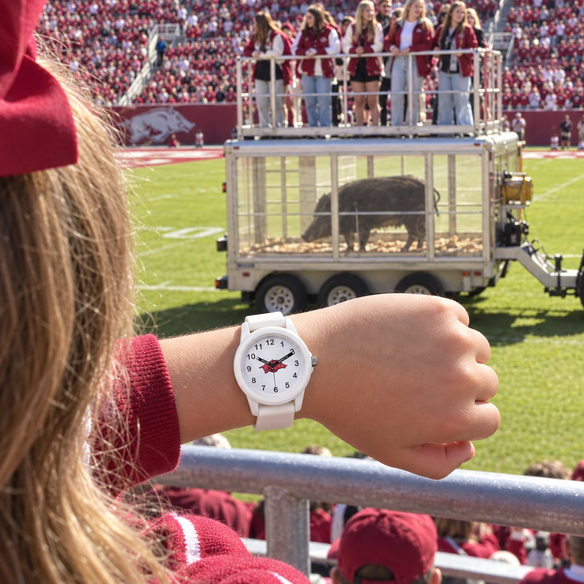 Tusk gets wheeled in - Arkansas Razorbacks watch