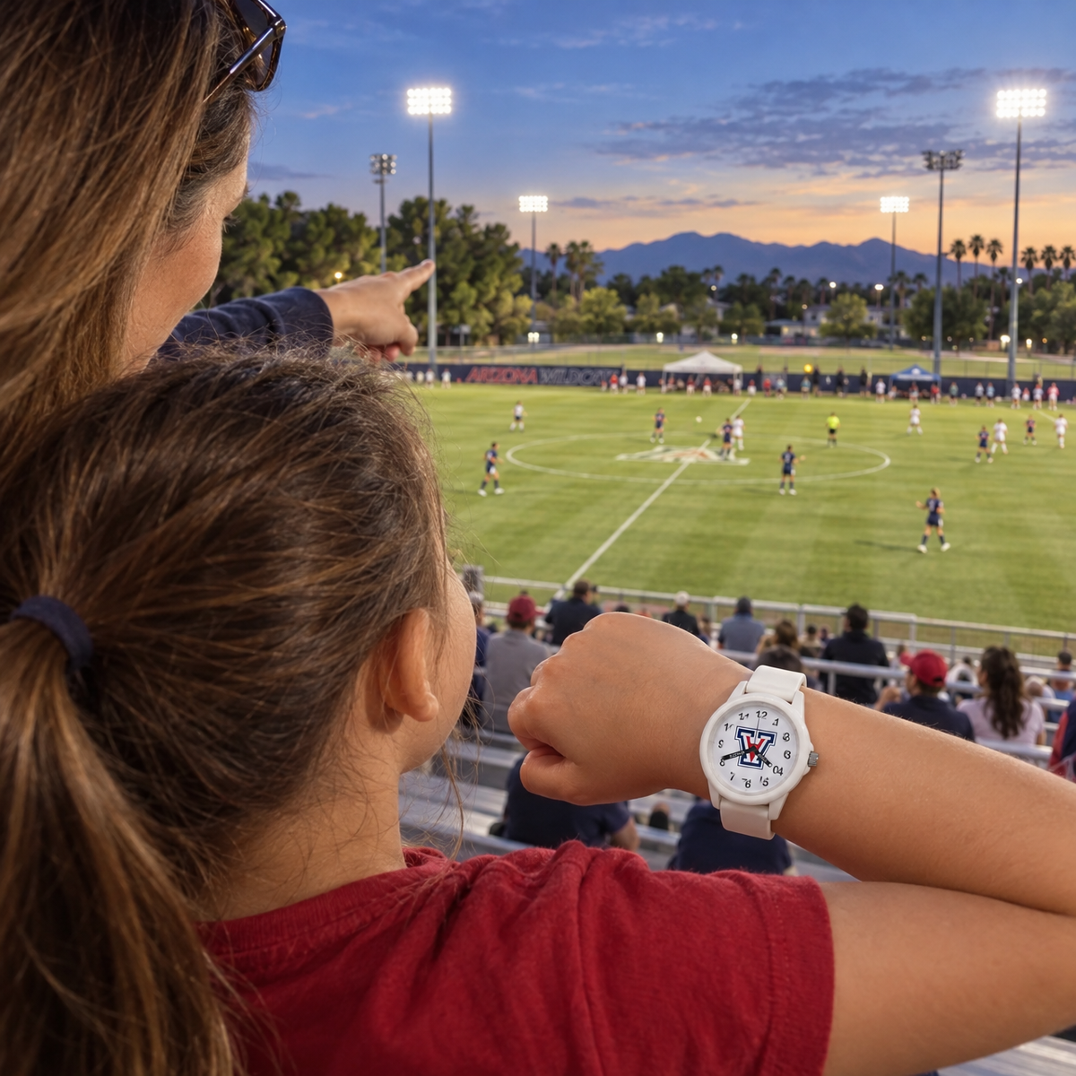 Palm trees, mountains and floodlights - Arizona Wildcats watch