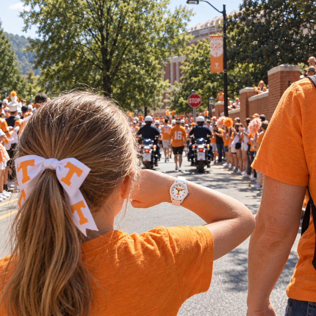 Beat the Vol Walk to the gate - Tennessee Volunteers watch