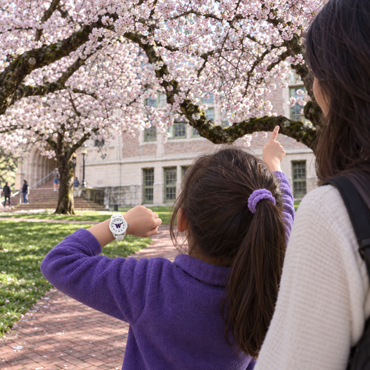 A W made of cherry blossoms - Washington Huskies watch